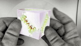 Engaging Lavender Mint Gear Cube Fidget Toy