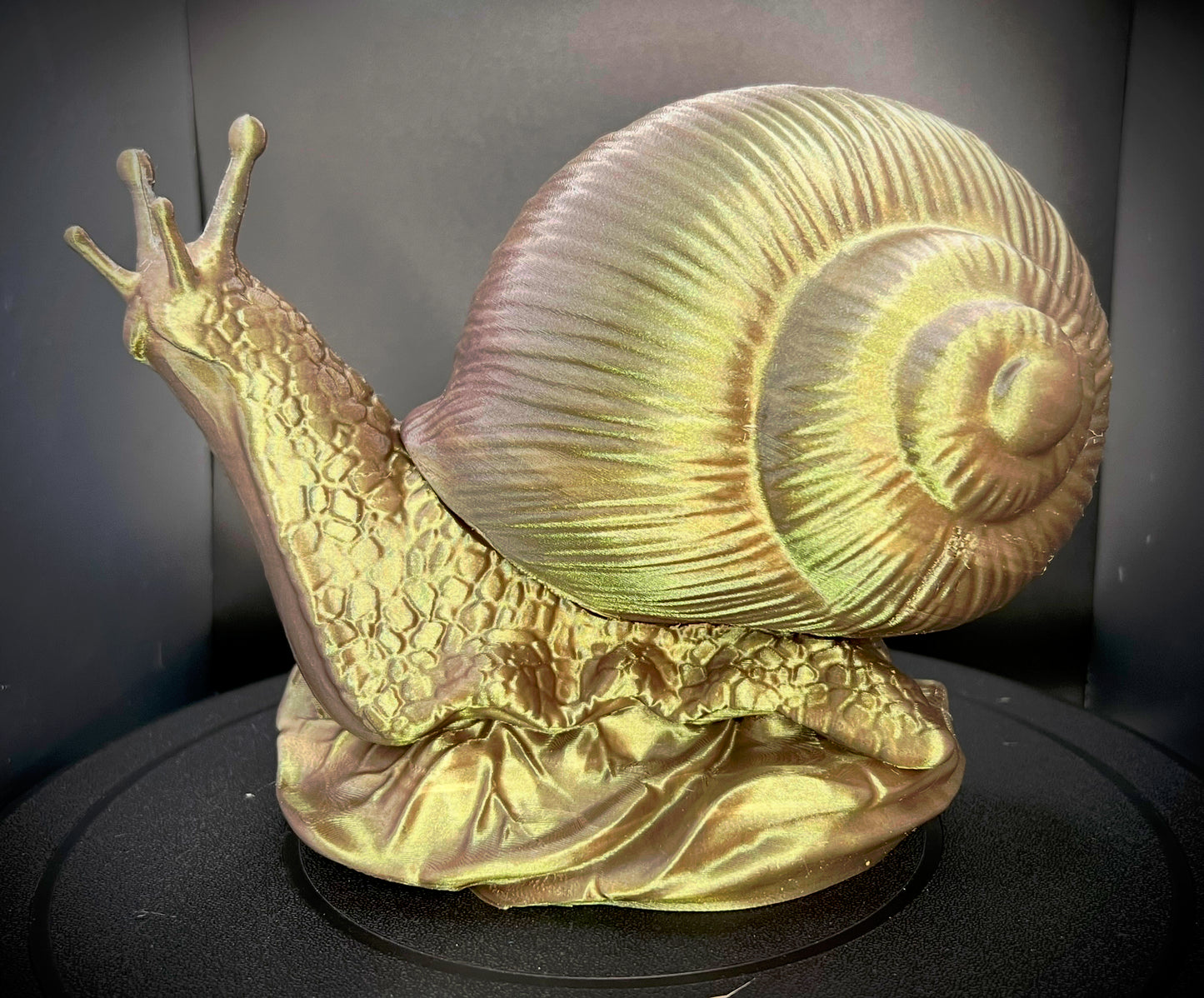 Enchanting Bronze Beach Snail Lamp