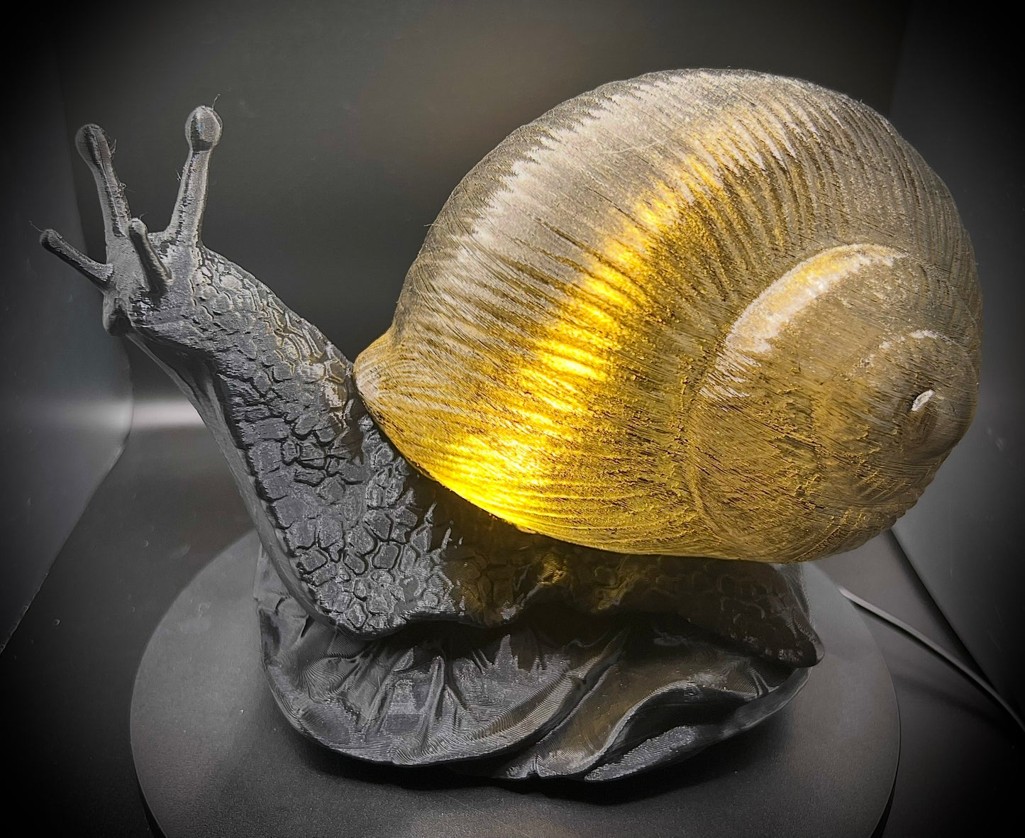 Enchanting Onyx Snail Lamp