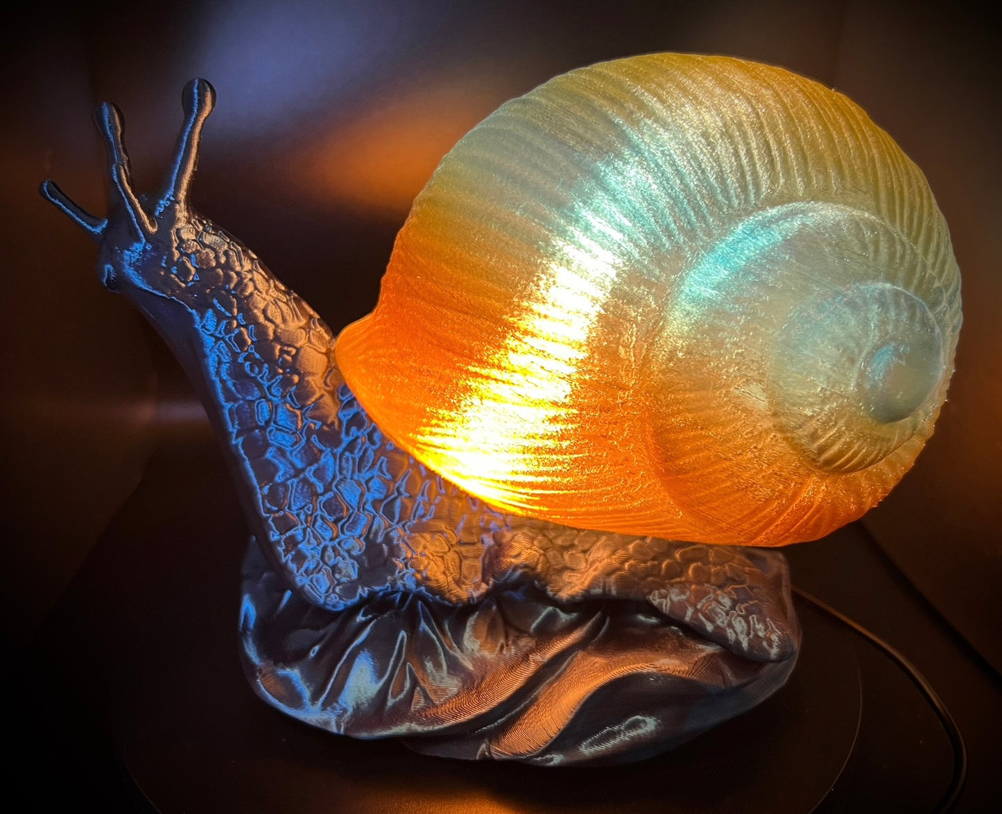 Enchanting Pacific Sunset Snail Lamp