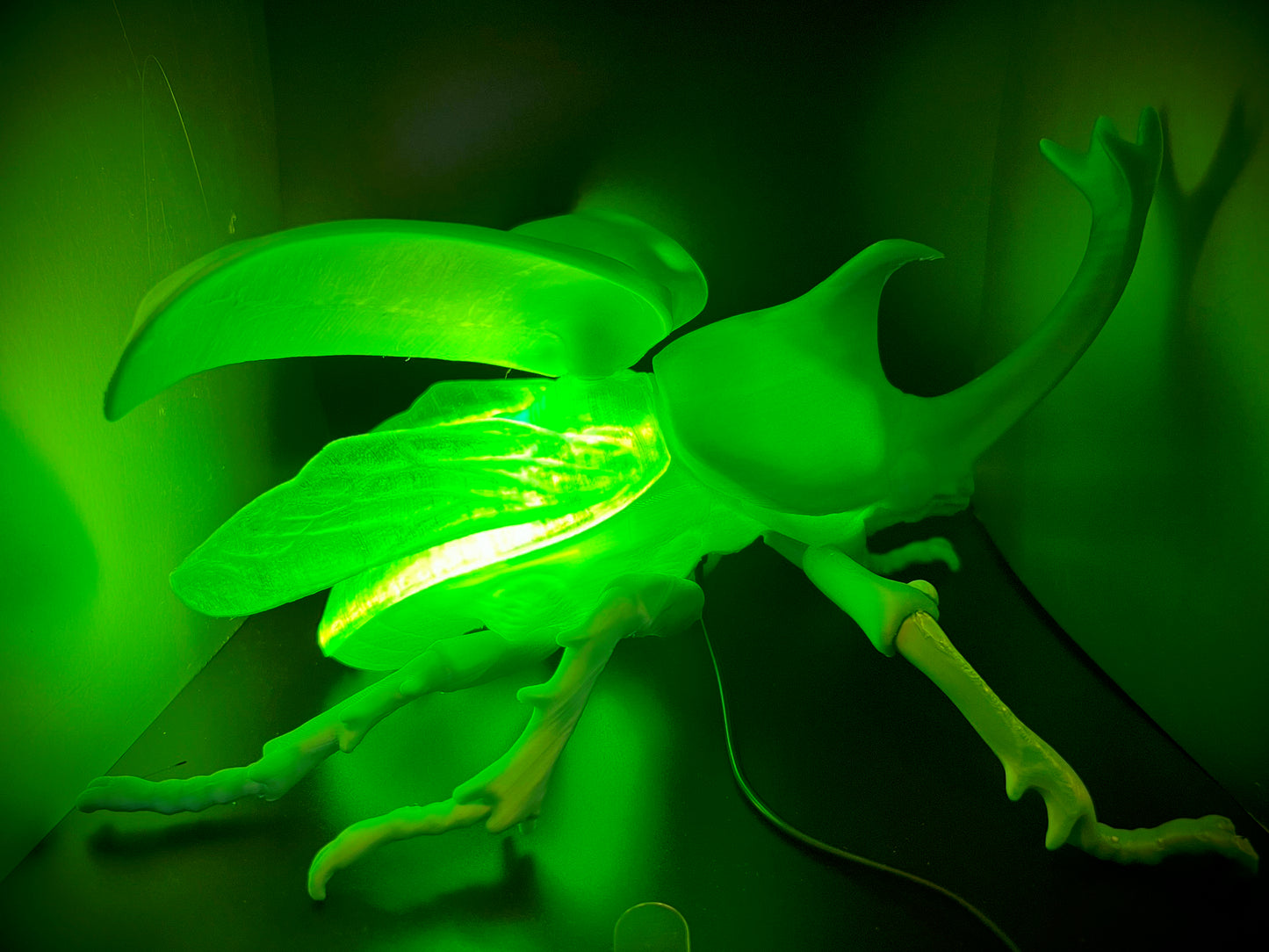 Radiant Rhino Beetle Lamp