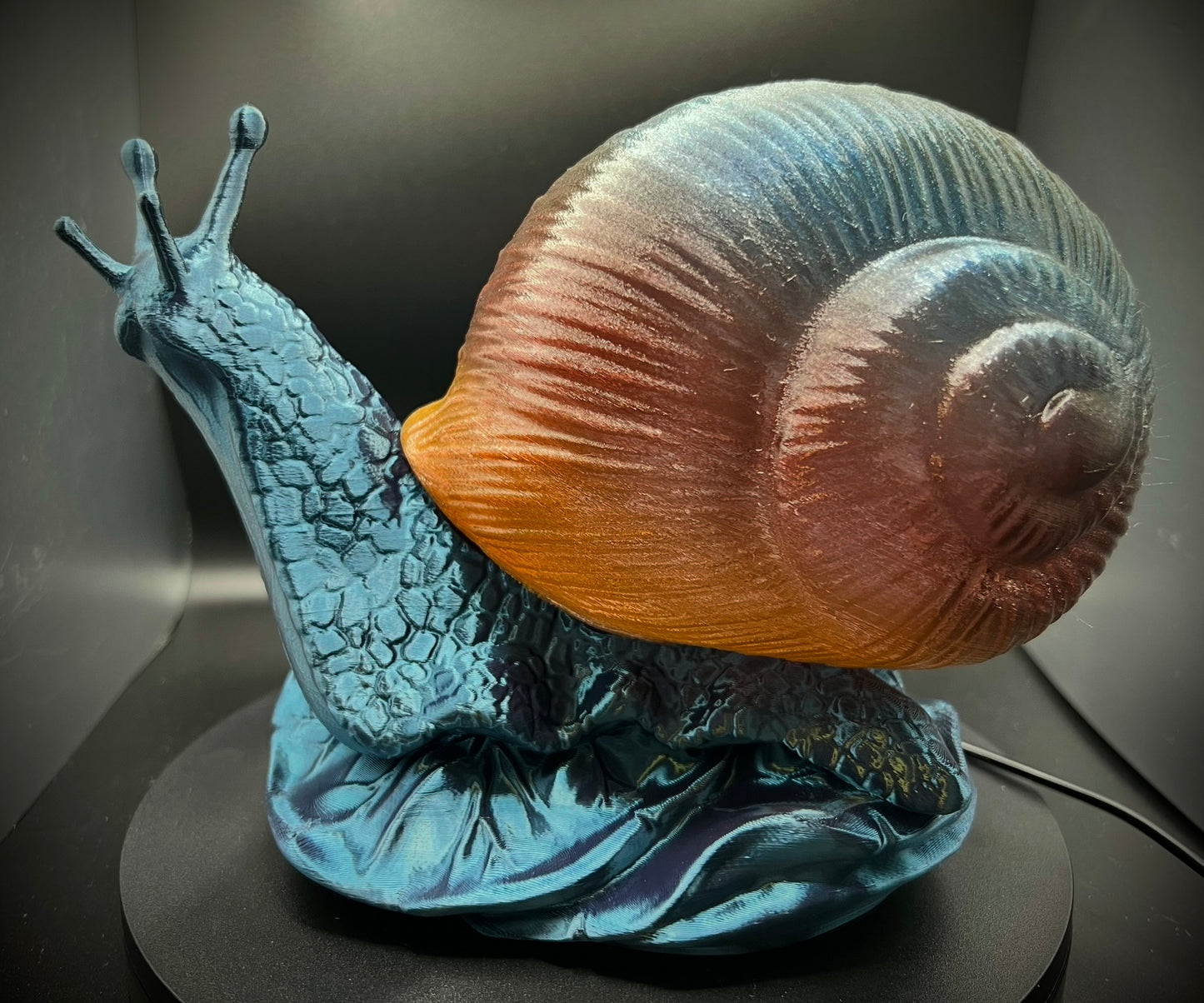 Enchanting Pacific Sunset Snail Lamp
