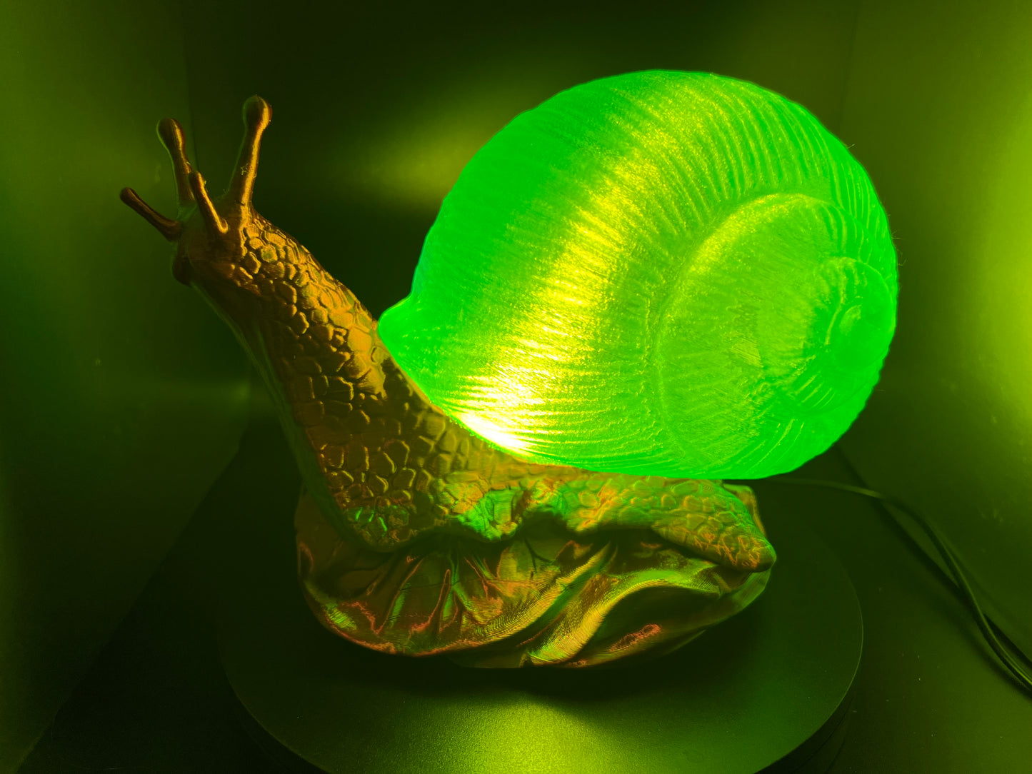 Enchanting Toxic Tulip Snail Lamp