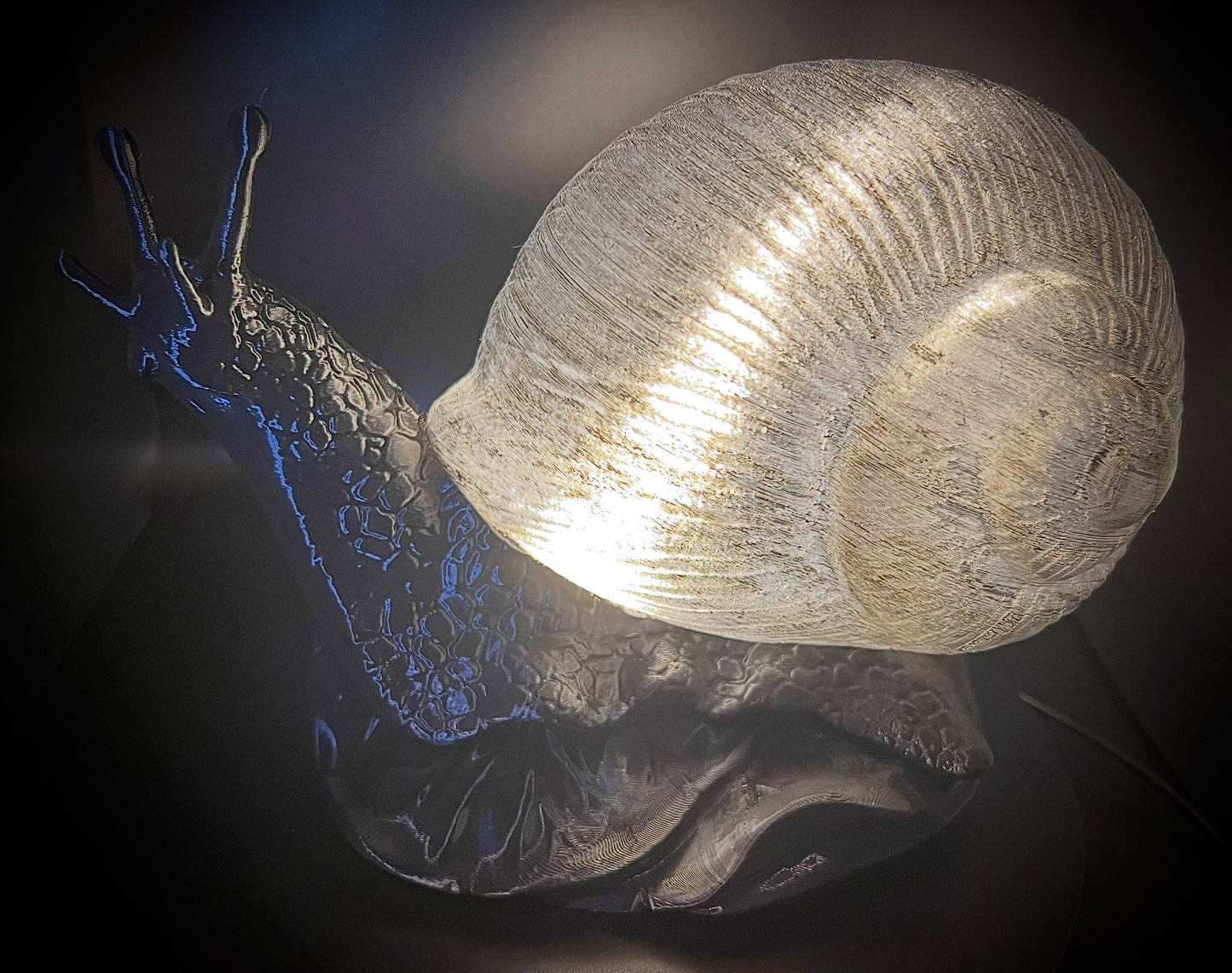 Enchanting Onyx Snail Lamp