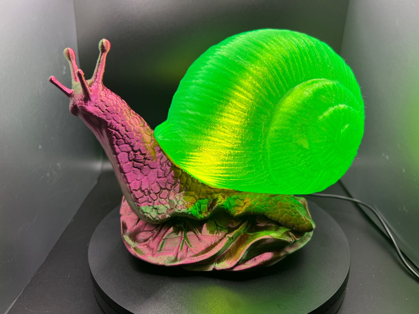 Enchanting Toxic Tulip Snail Lamp