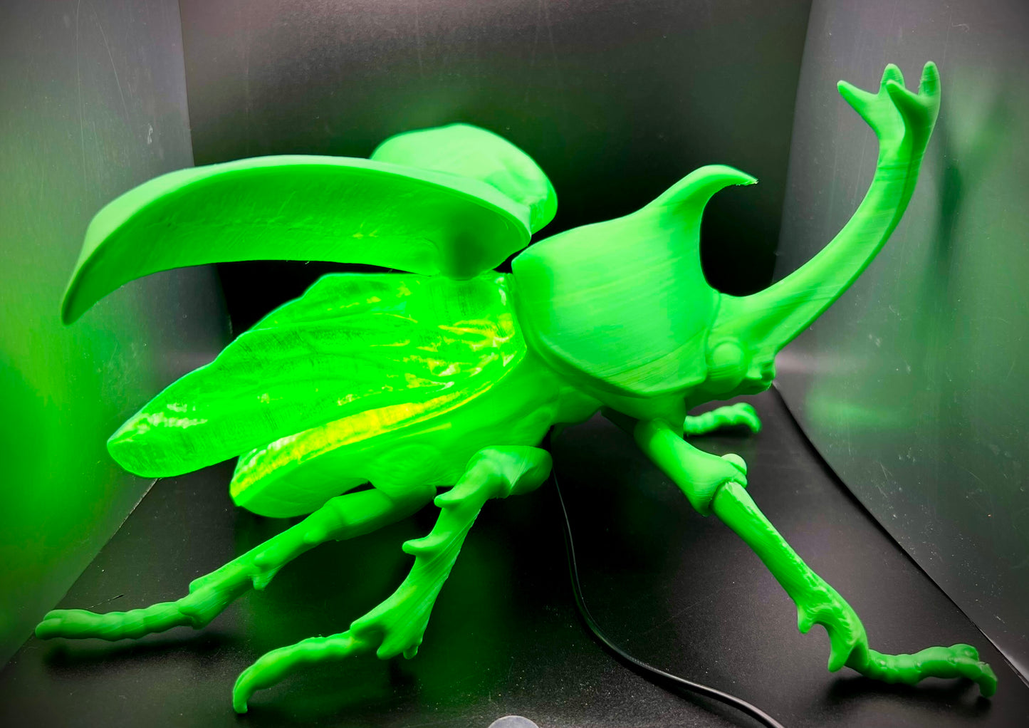 Radiant Rhino Beetle Lamp