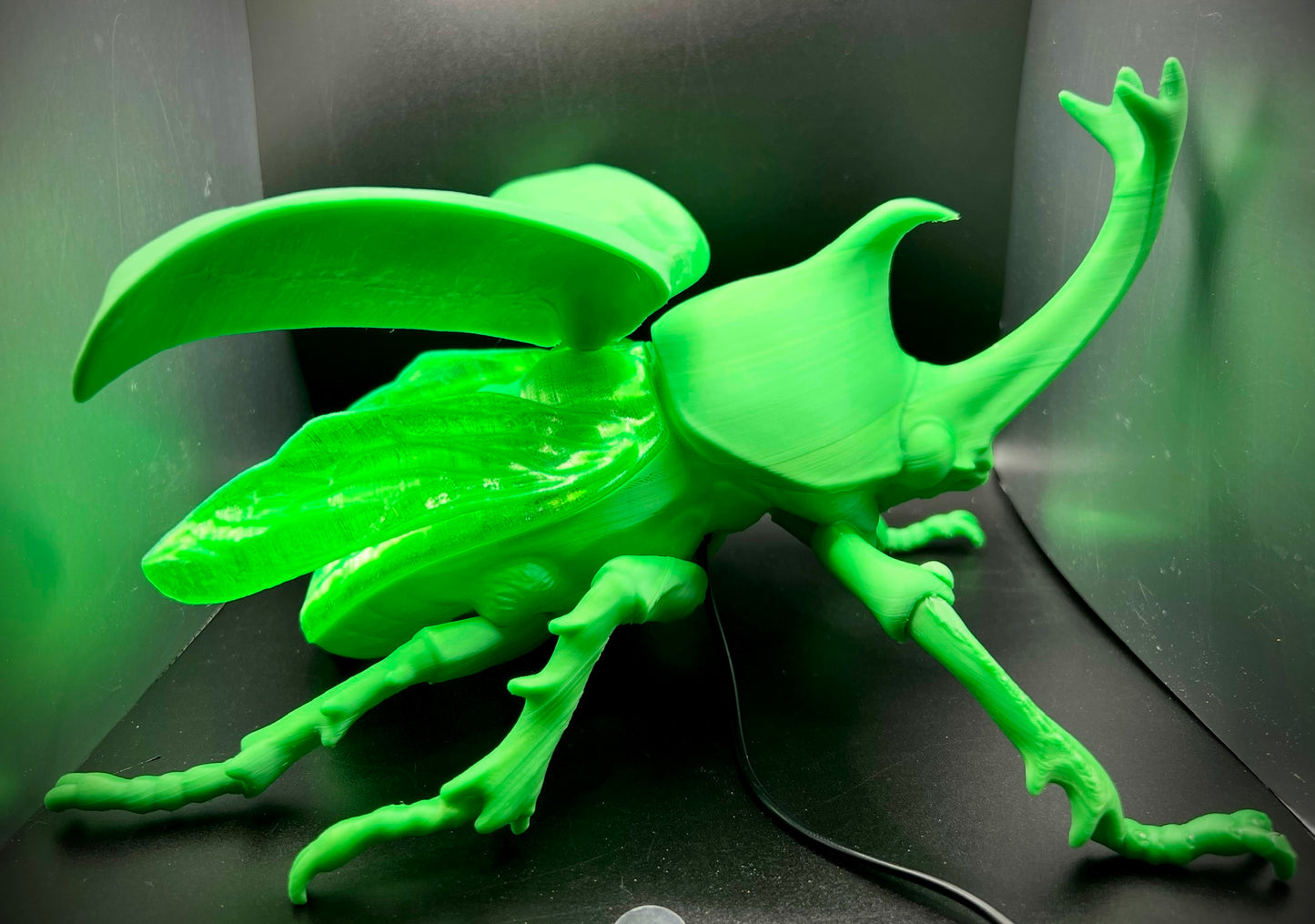 Radiant Rhino Beetle Lamp