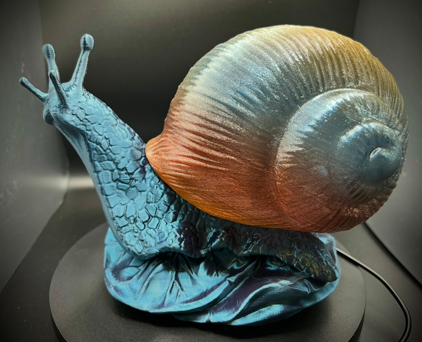 Enchanting Pacific Sunset Snail Lamp