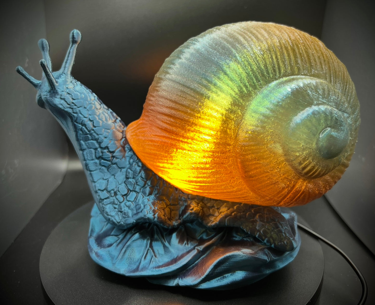 Enchanting Pacific Sunset Snail Lamp
