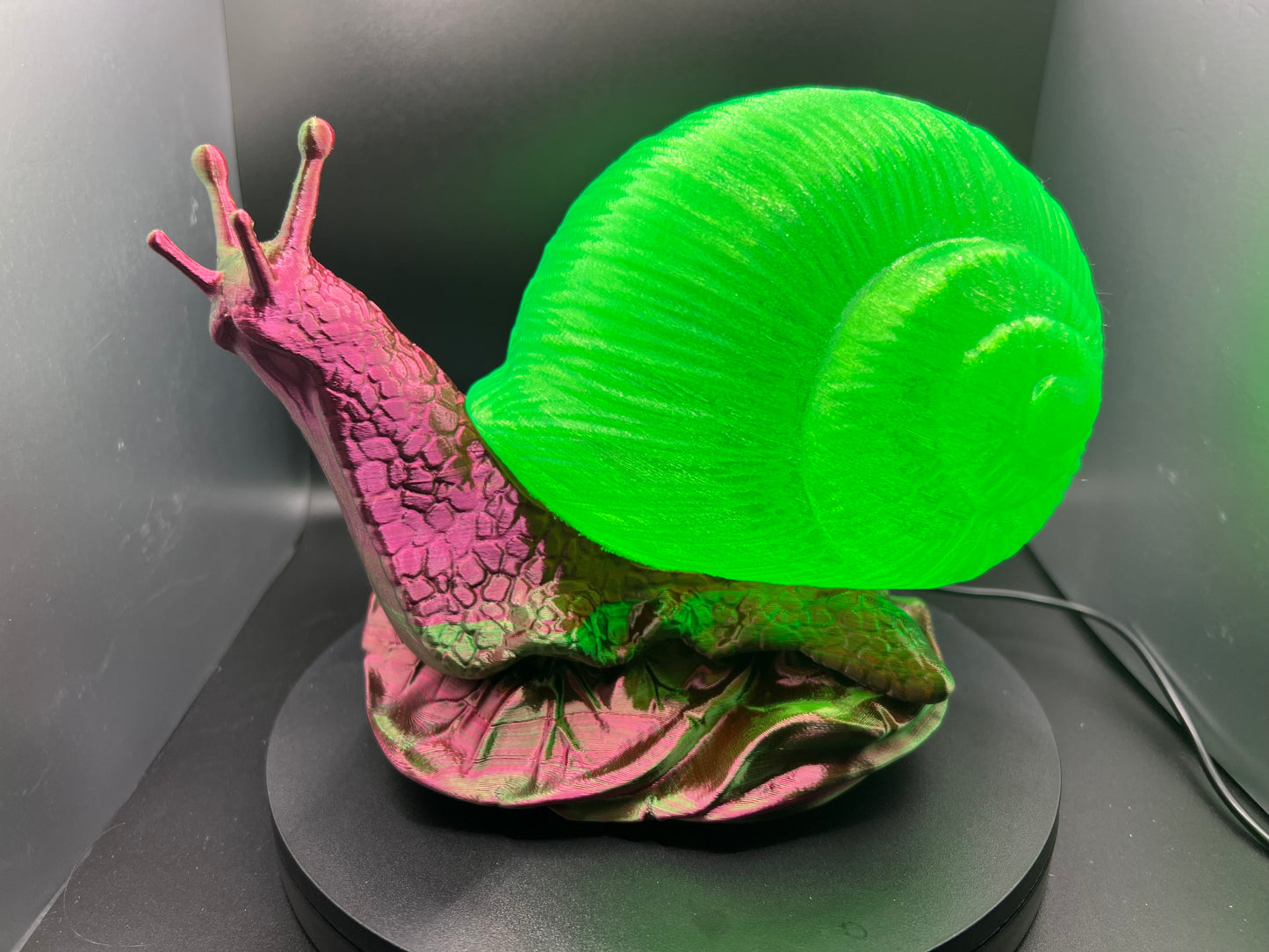 Enchanting Toxic Tulip Snail Lamp