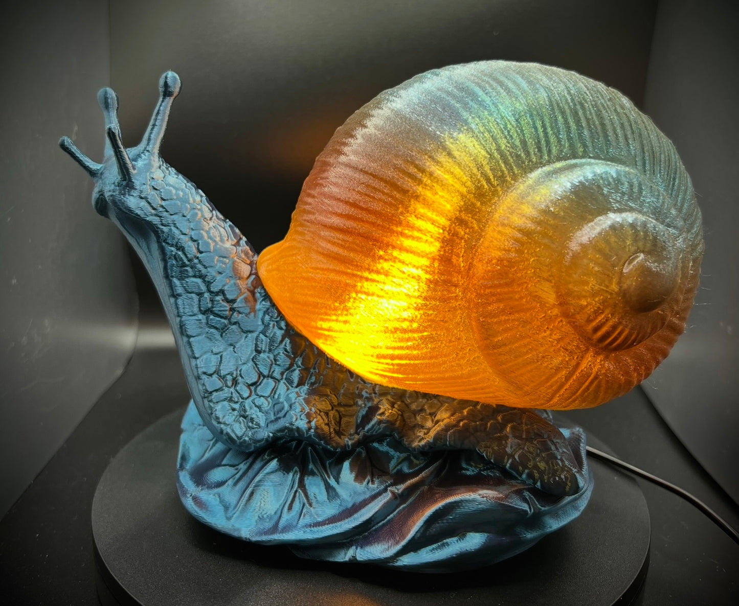 Enchanting Pacific Sunset Snail Lamp