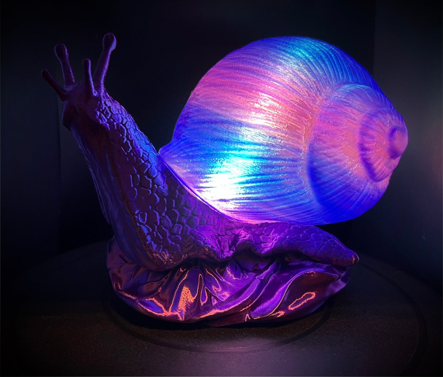 Enchanting Indigo Orchid Snail Lamp