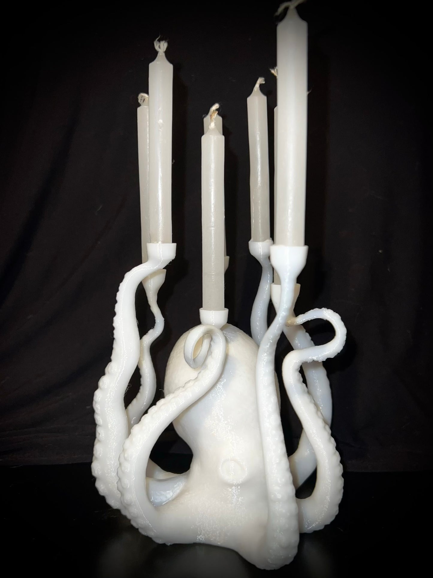 Enchanting Orphic Octopus *RECENTLY ADDED*