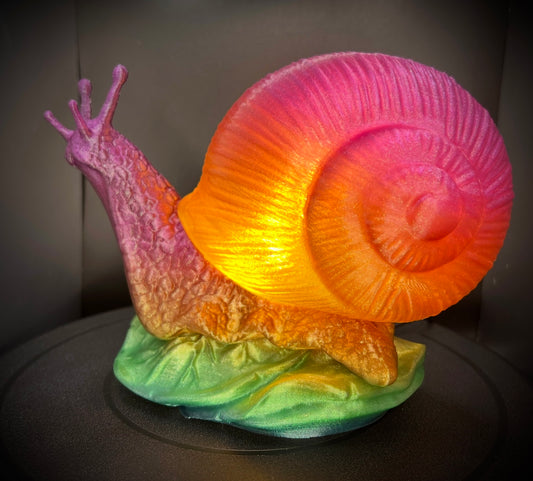 Enchanting Rainbow Snail Lamp *colorful options*