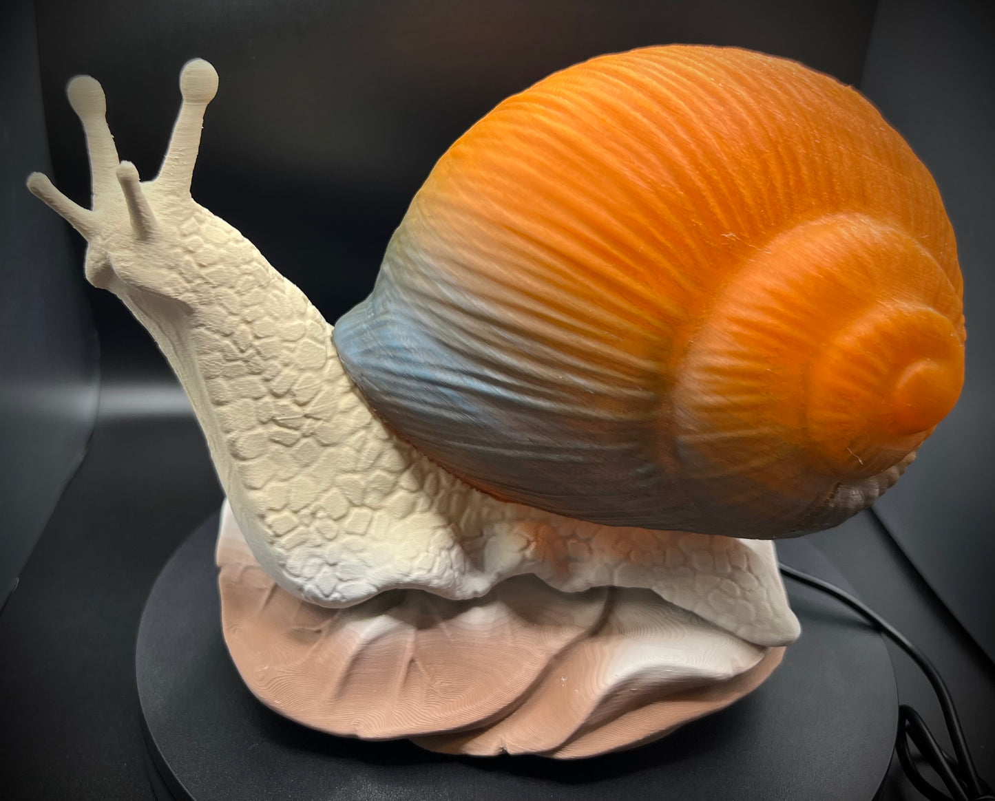 Enchanting Mesa Horizon Snail Lamp