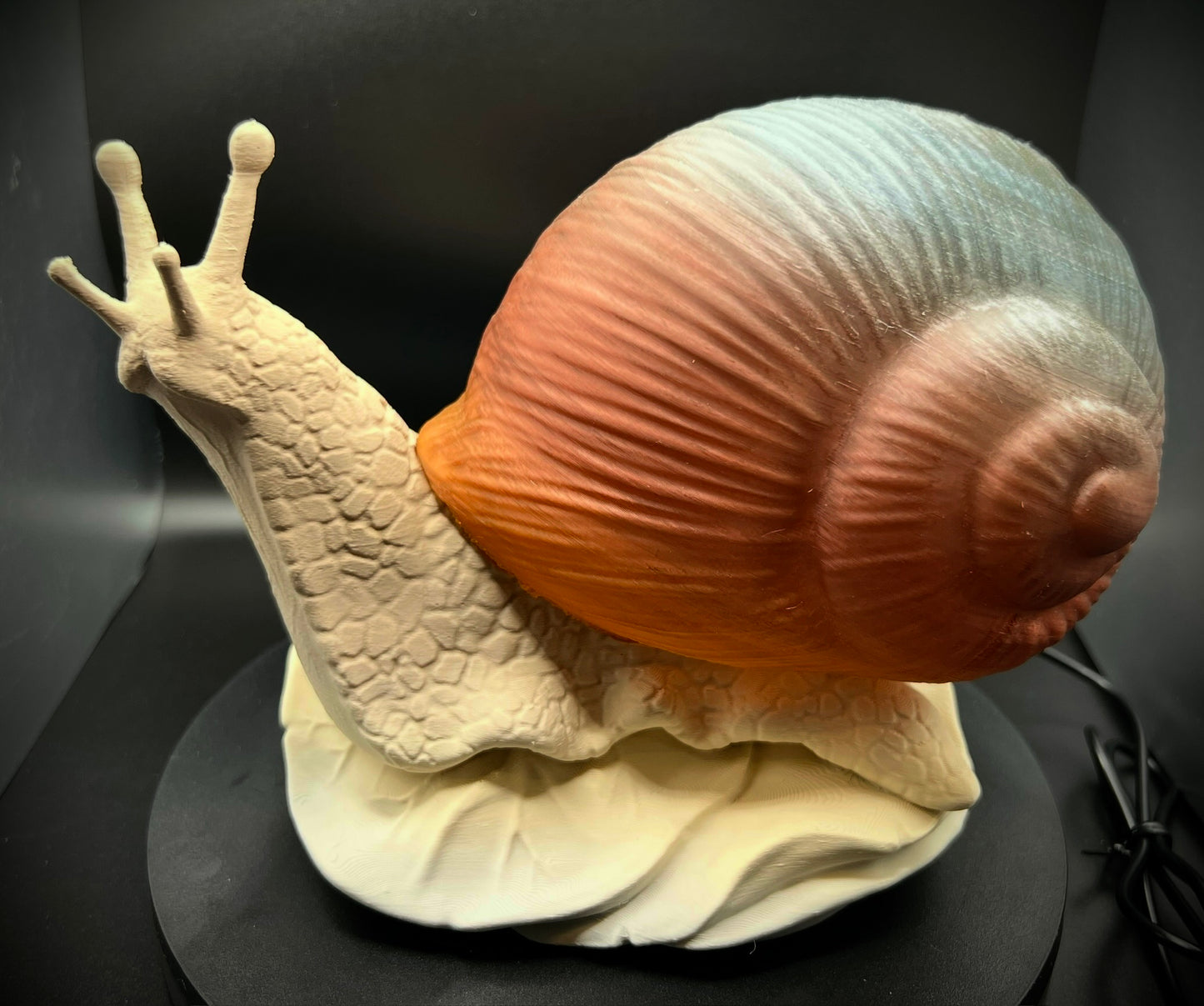 Enchanting Mesa Horizon Snail Lamp