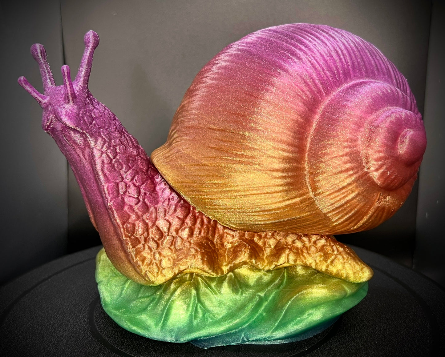 Enchanting Rainbow Snail Lamp *colorful options*