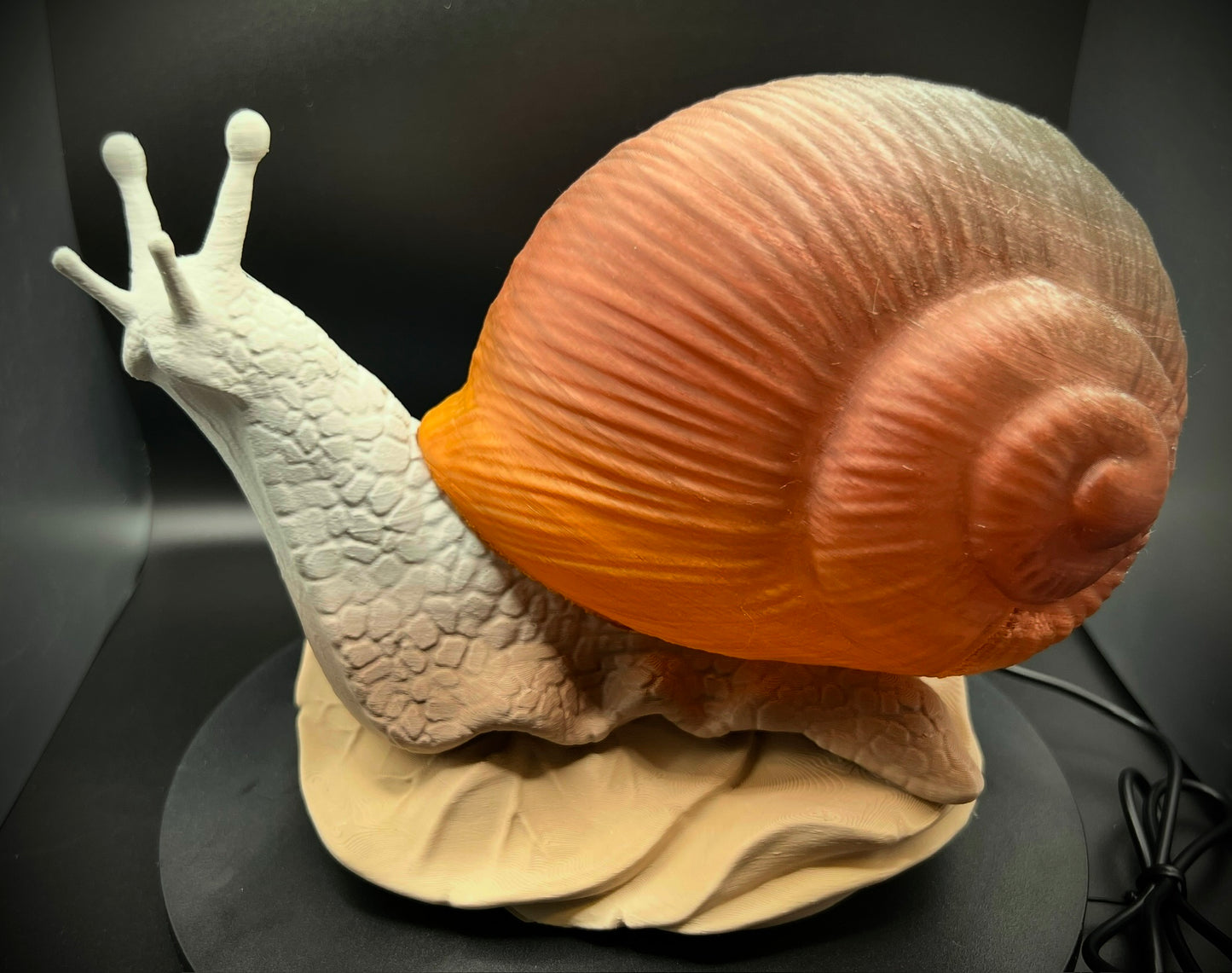 Enchanting Mesa Horizon Snail Lamp