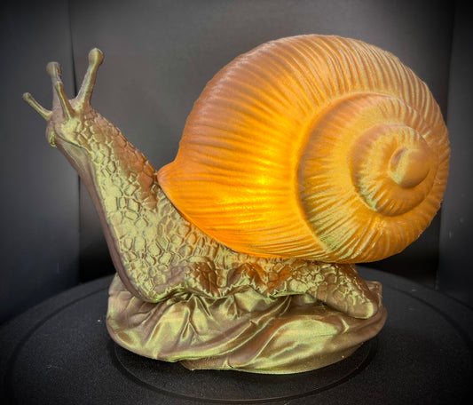 Enchanting Bronze Beach Snail Lamp