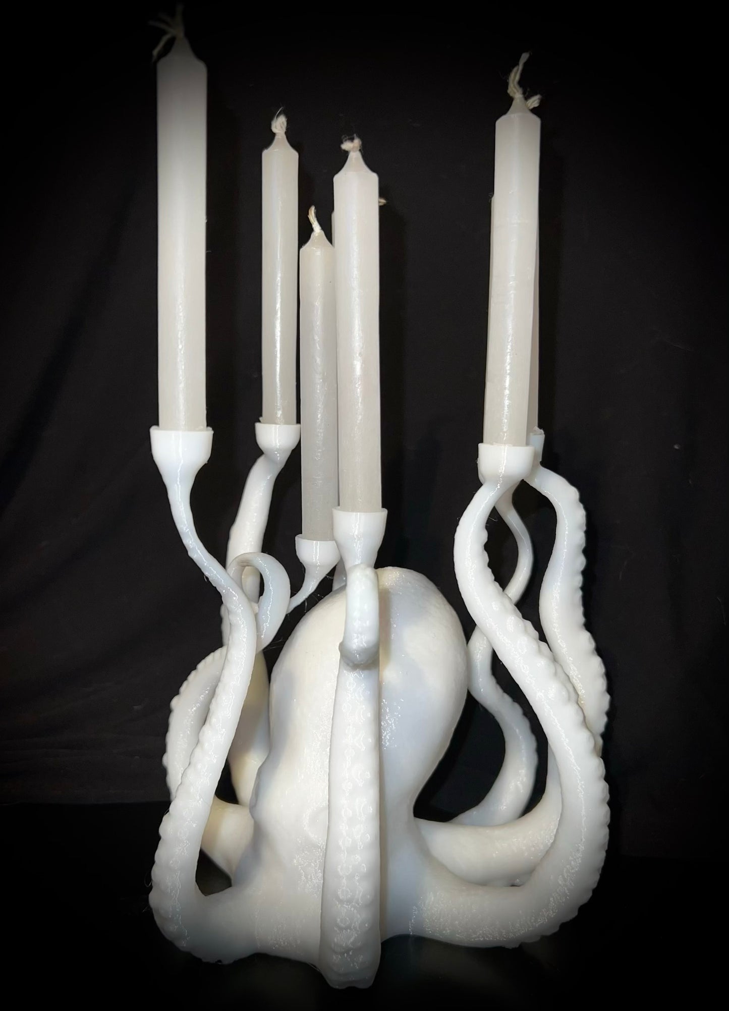 Enchanting Orphic Octopus *RECENTLY ADDED*