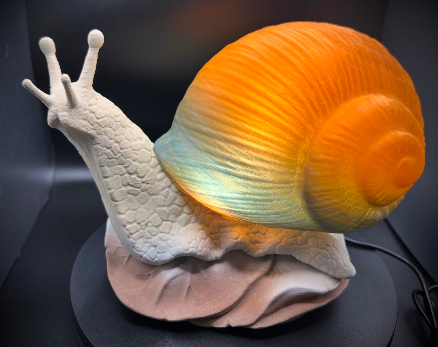 Enchanting Mesa Horizon Snail Lamp