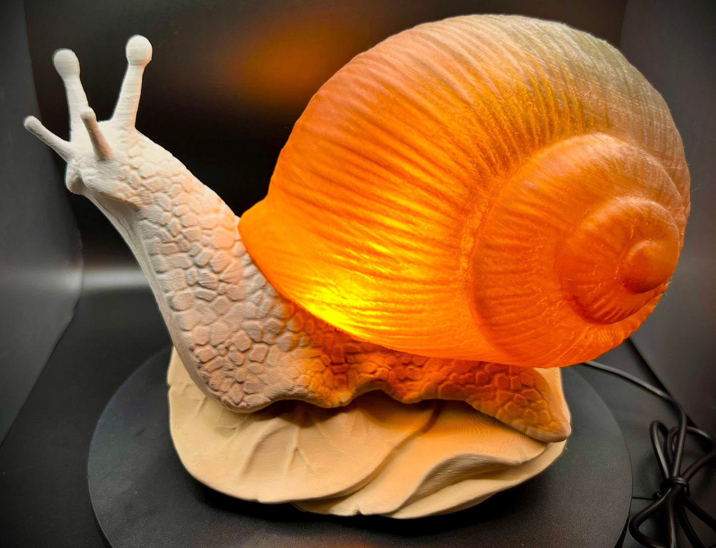 Enchanting Mesa Horizon Snail Lamp