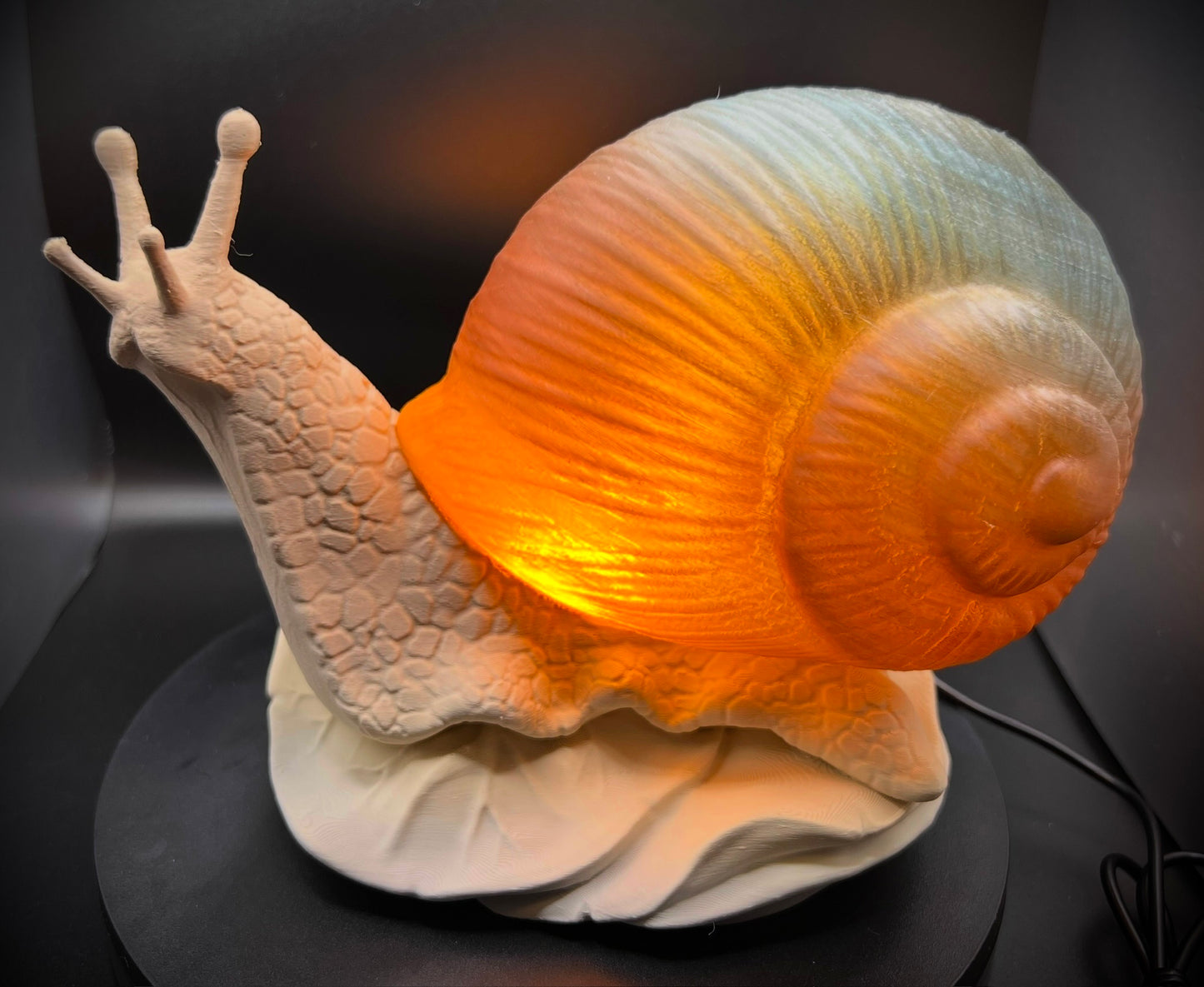 Enchanting Mesa Horizon Snail Lamp